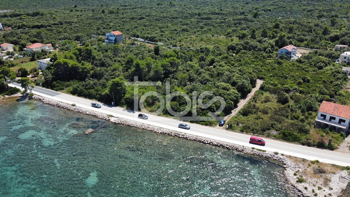 DRAČE