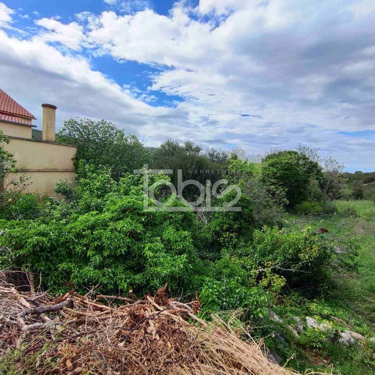 BOŽAVA