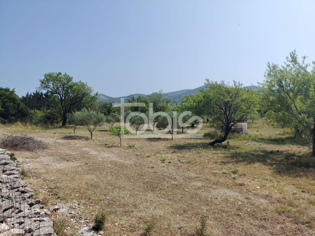 BANJEVCI