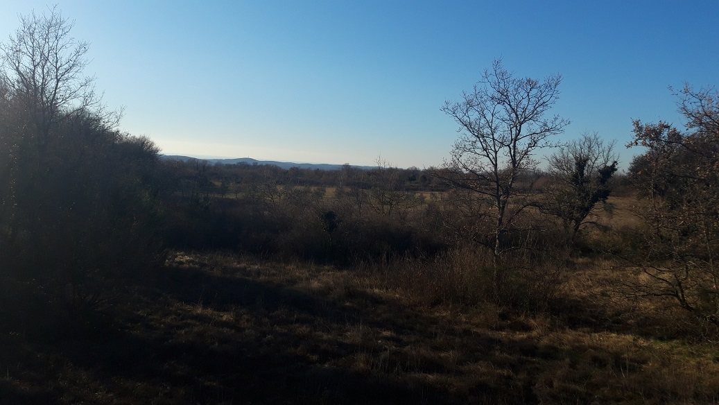 RAPONJI
