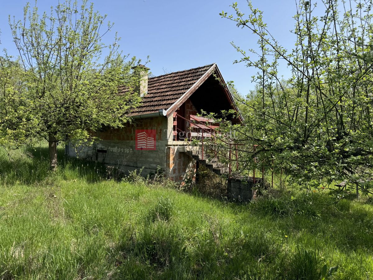 PODVINJE