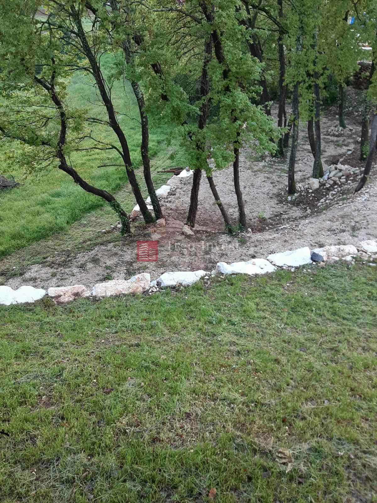 KRINGA