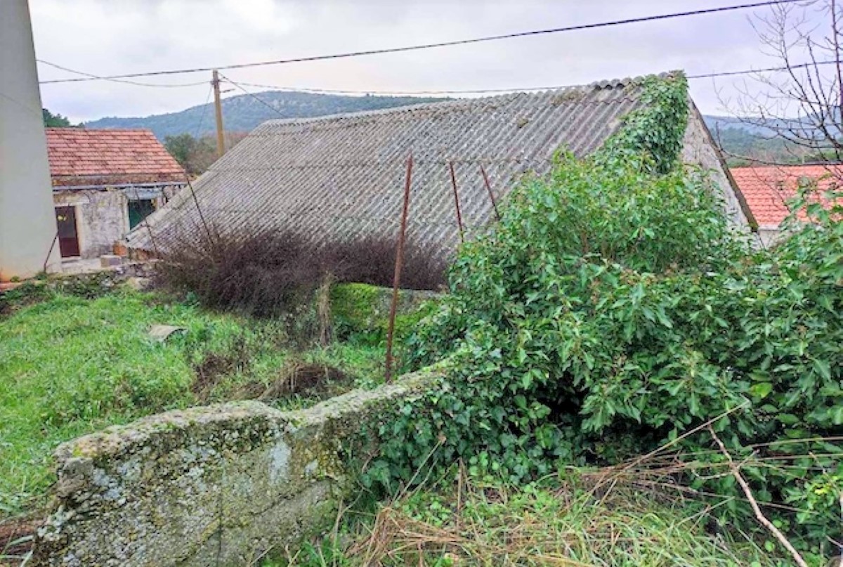 TRPANJ