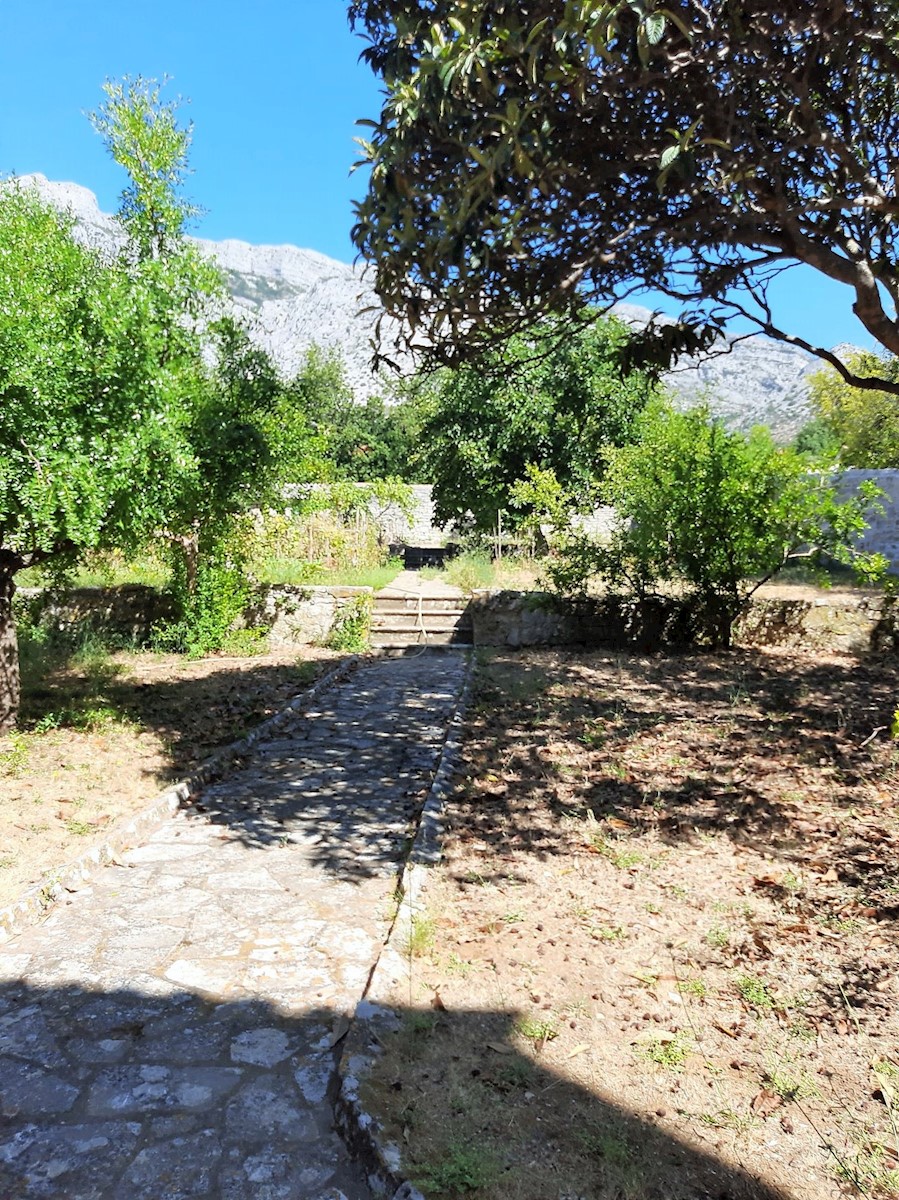 PELJEŠAC