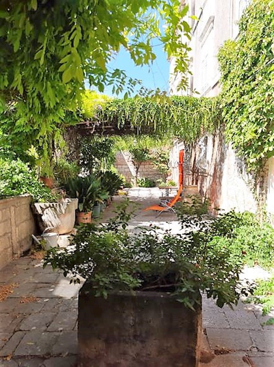 PELJEŠAC