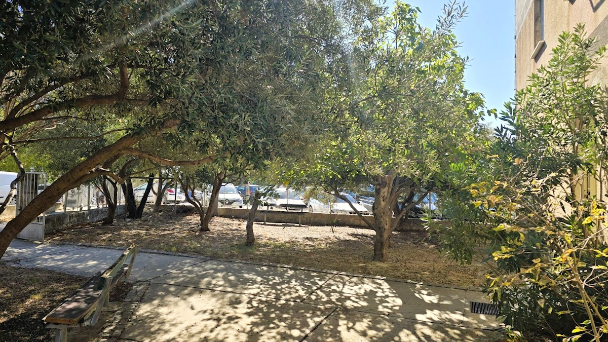 SPLIT