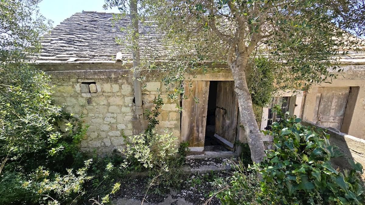 image 17