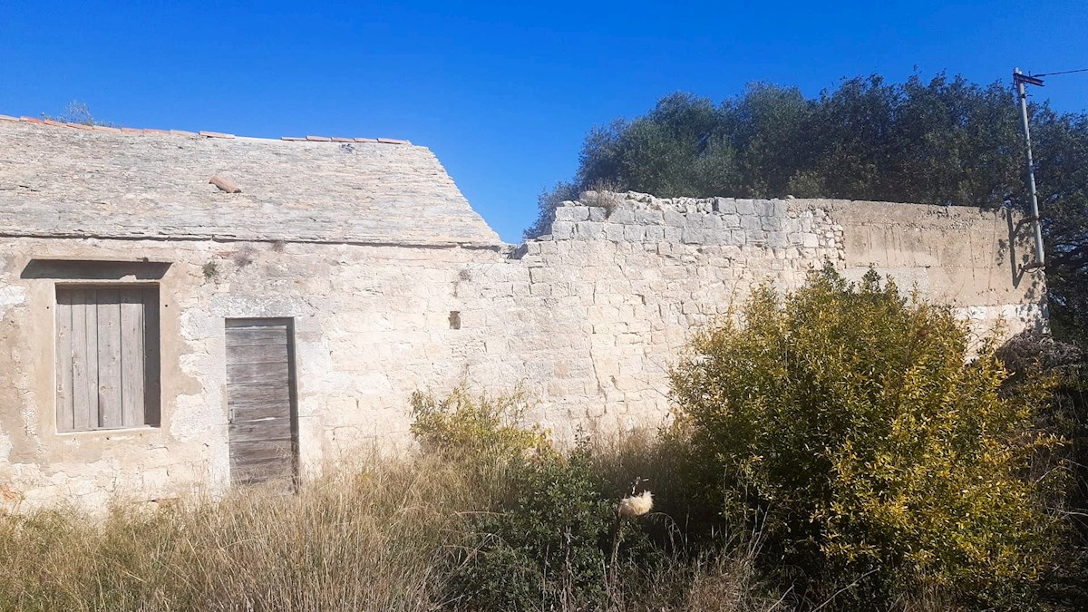 image 14