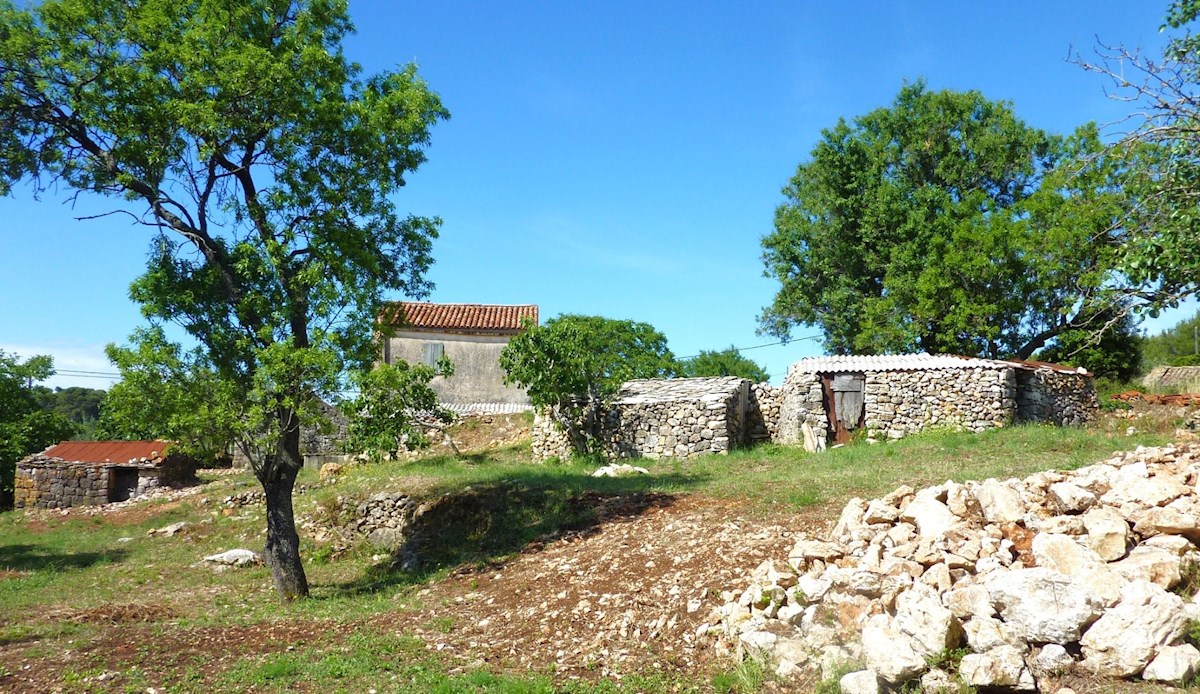 VIS