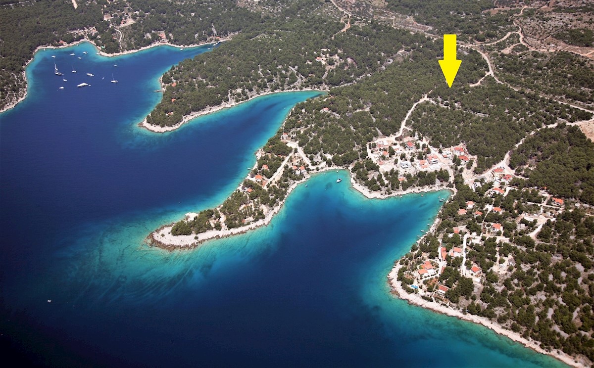 BRAČ