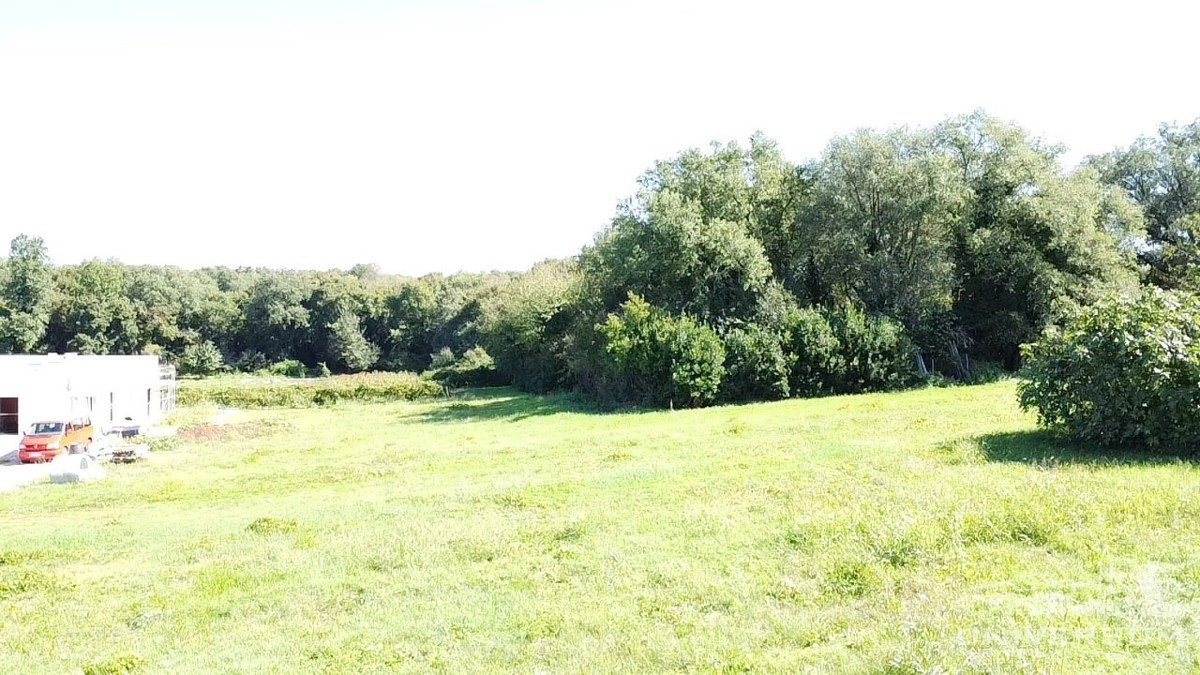 BRTONIGLA