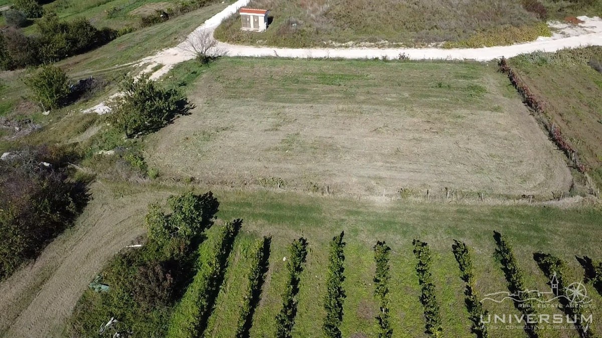 BRTONIGLA