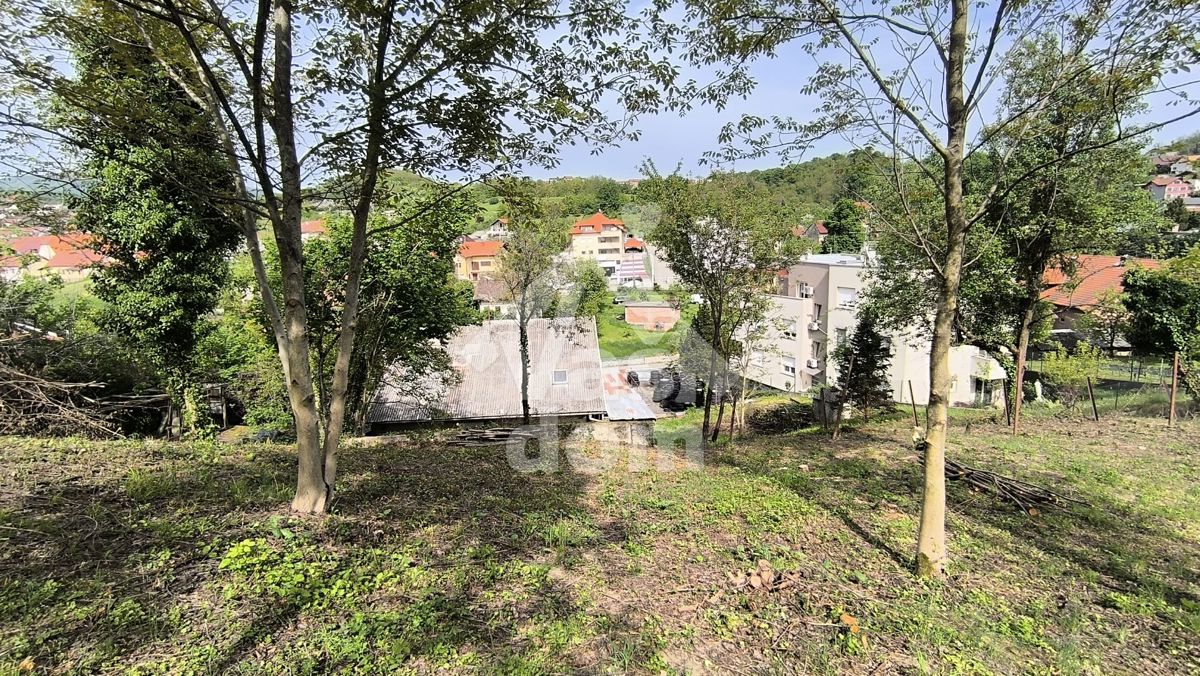 image 14