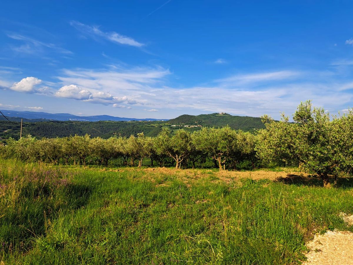 KRŠIKLA