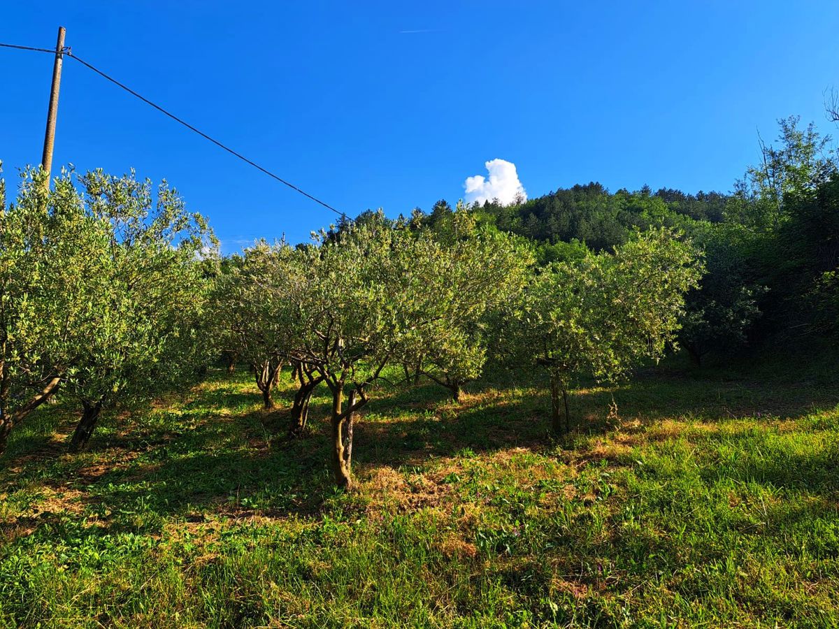 KRŠIKLA
