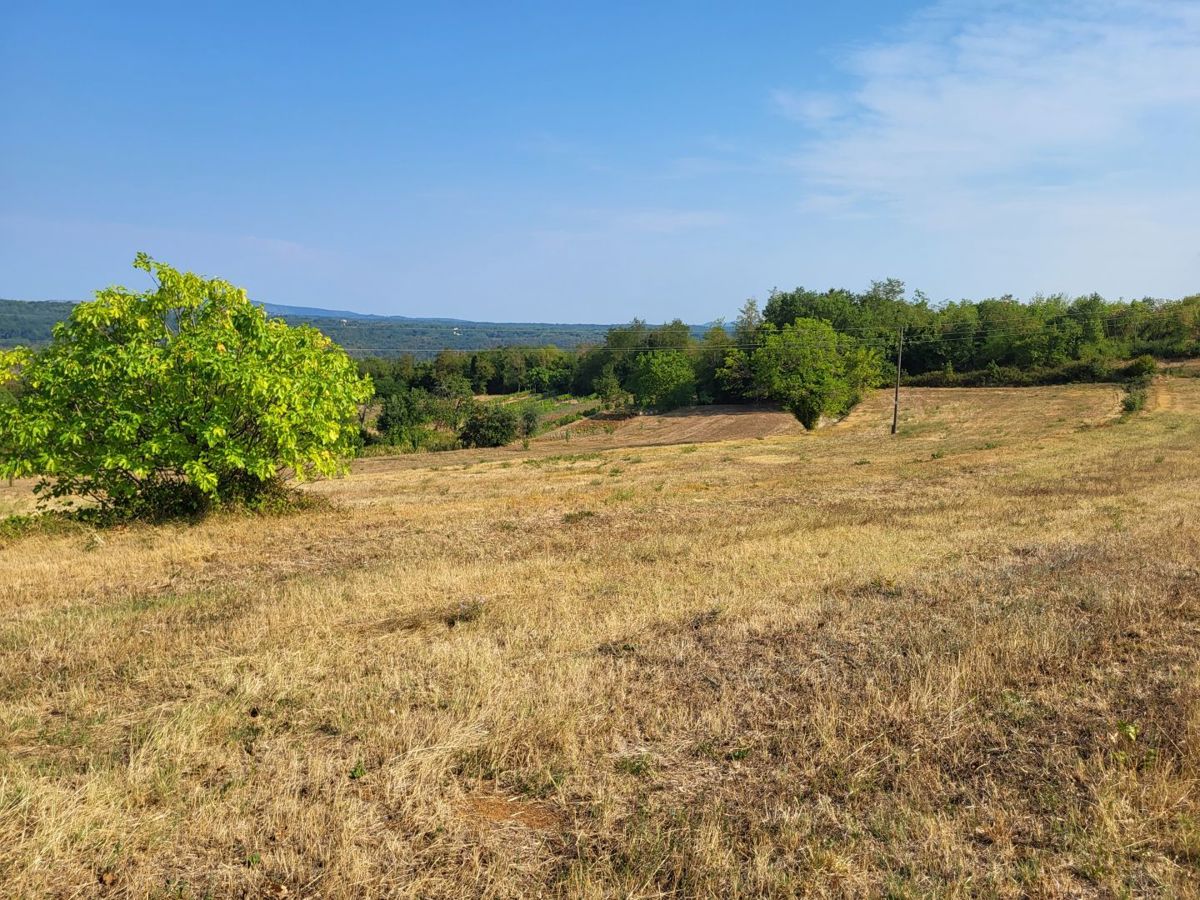 PIĆAN