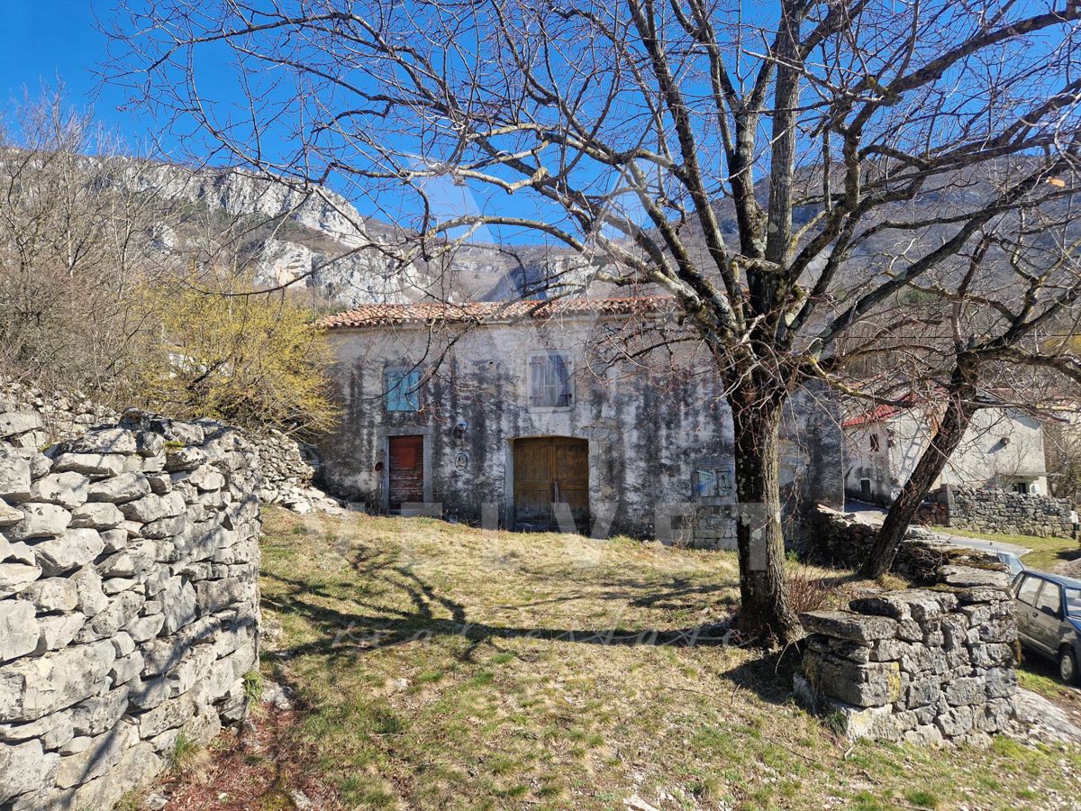 LANIŠĆE