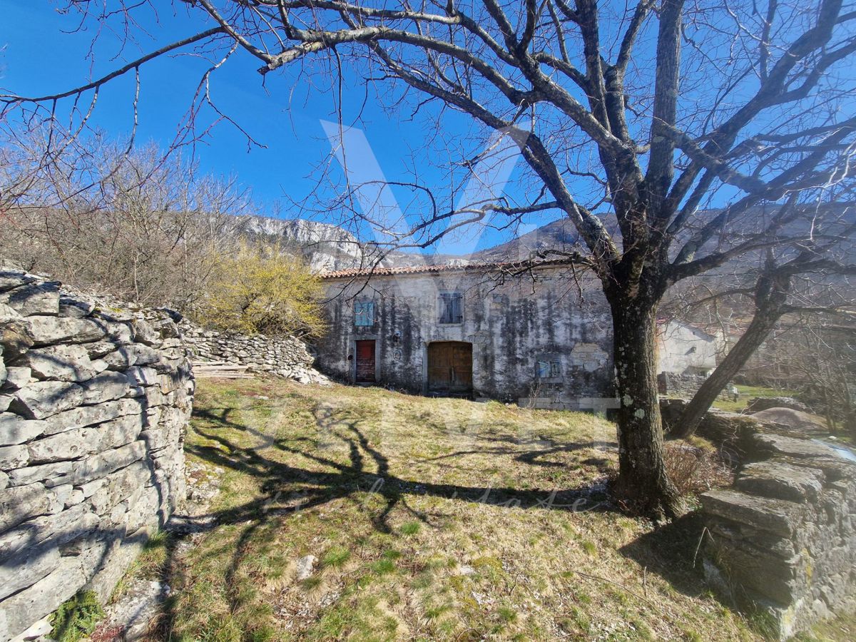 LANIŠĆE