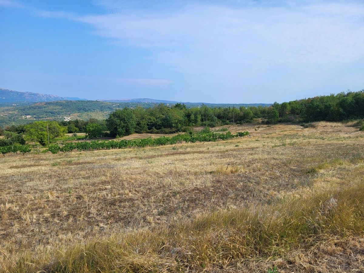 PIĆAN