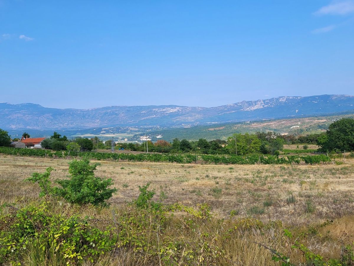 PIĆAN
