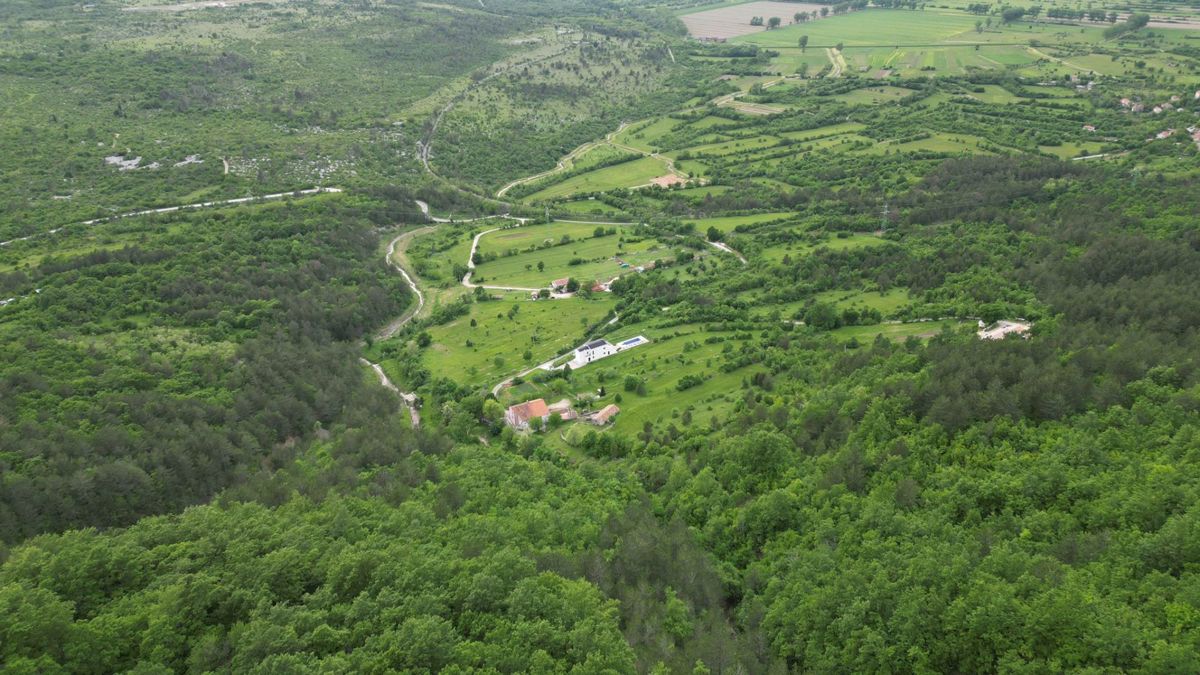 KOŽLJAK