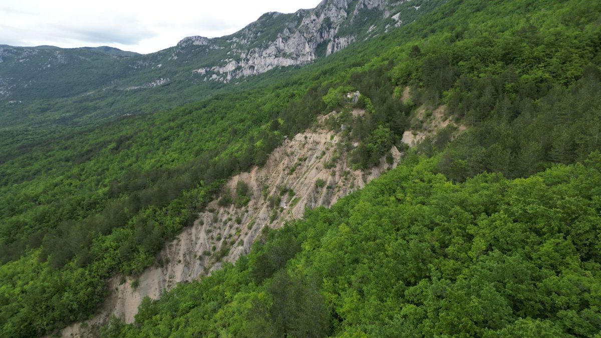 KOŽLJAK
