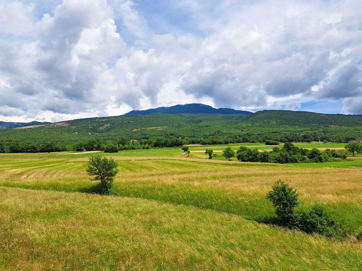BOLJUN