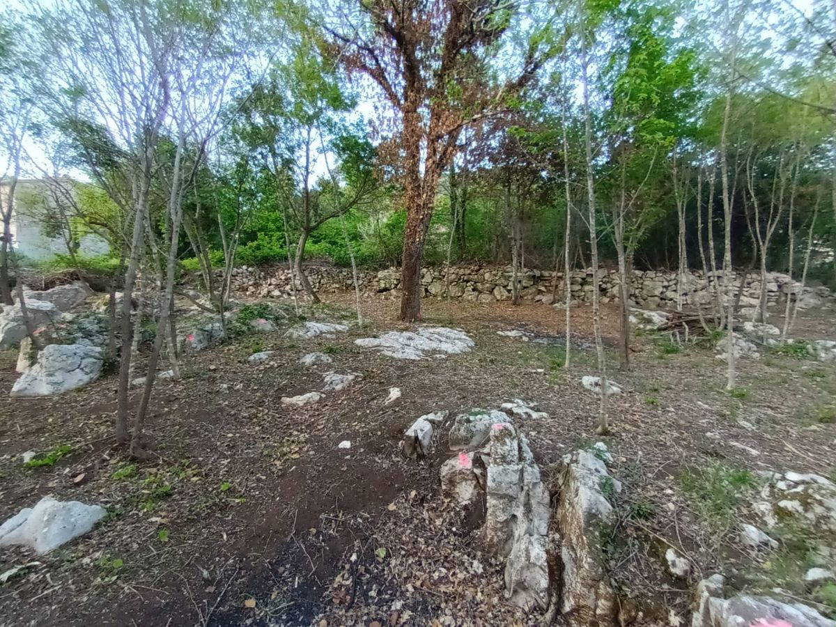 LUPOGLAV