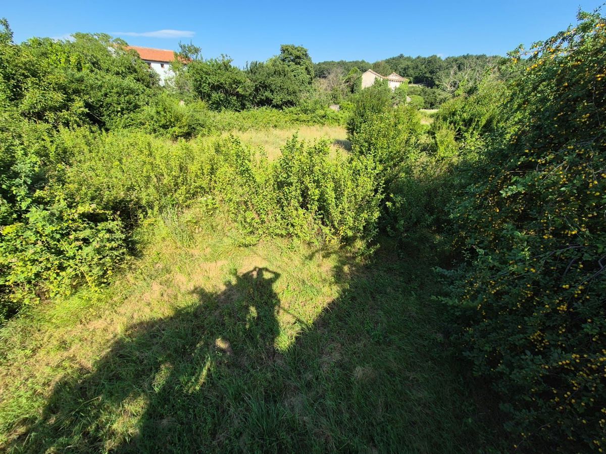 SVETVINČENAT