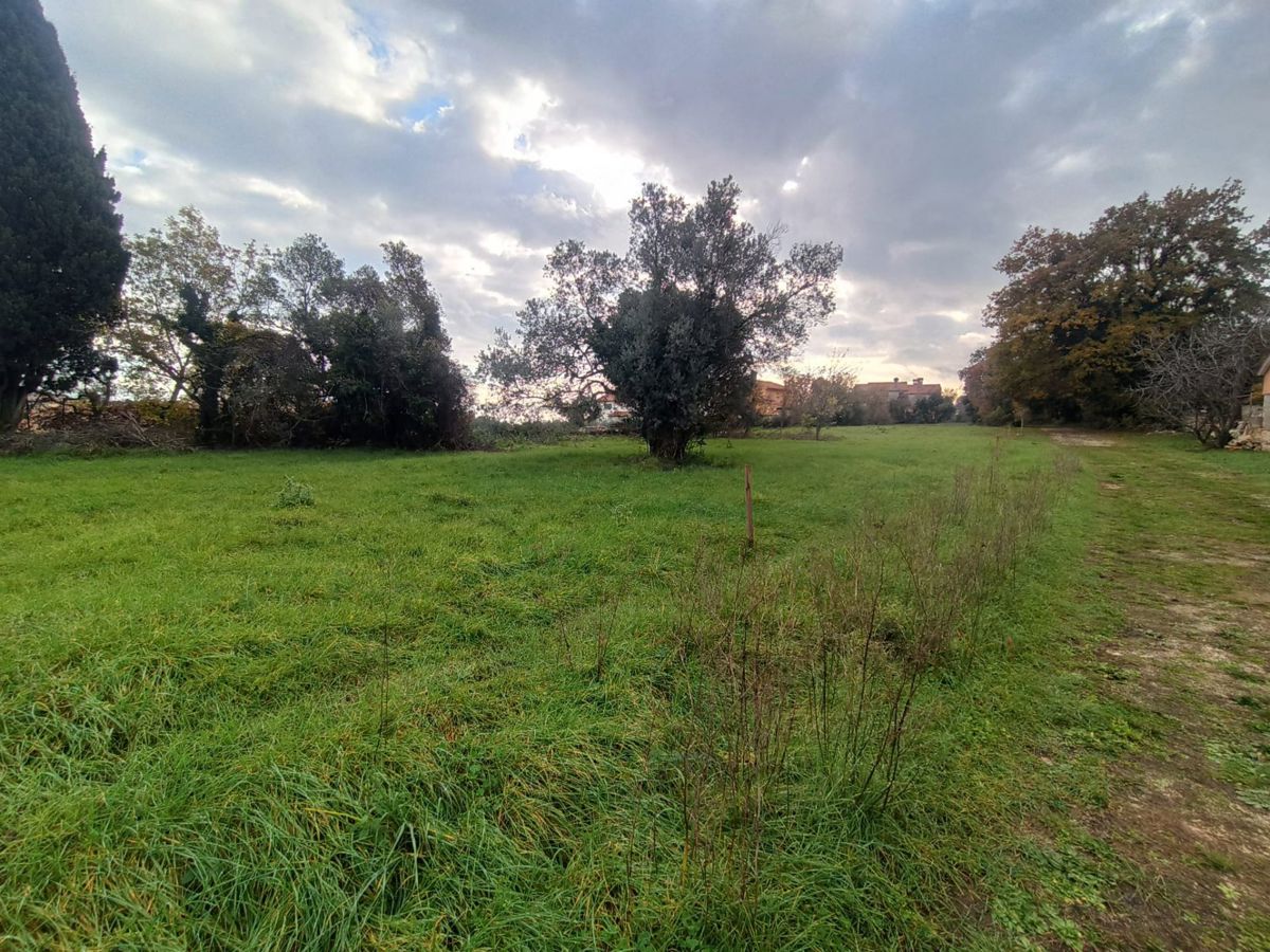 MARČANA