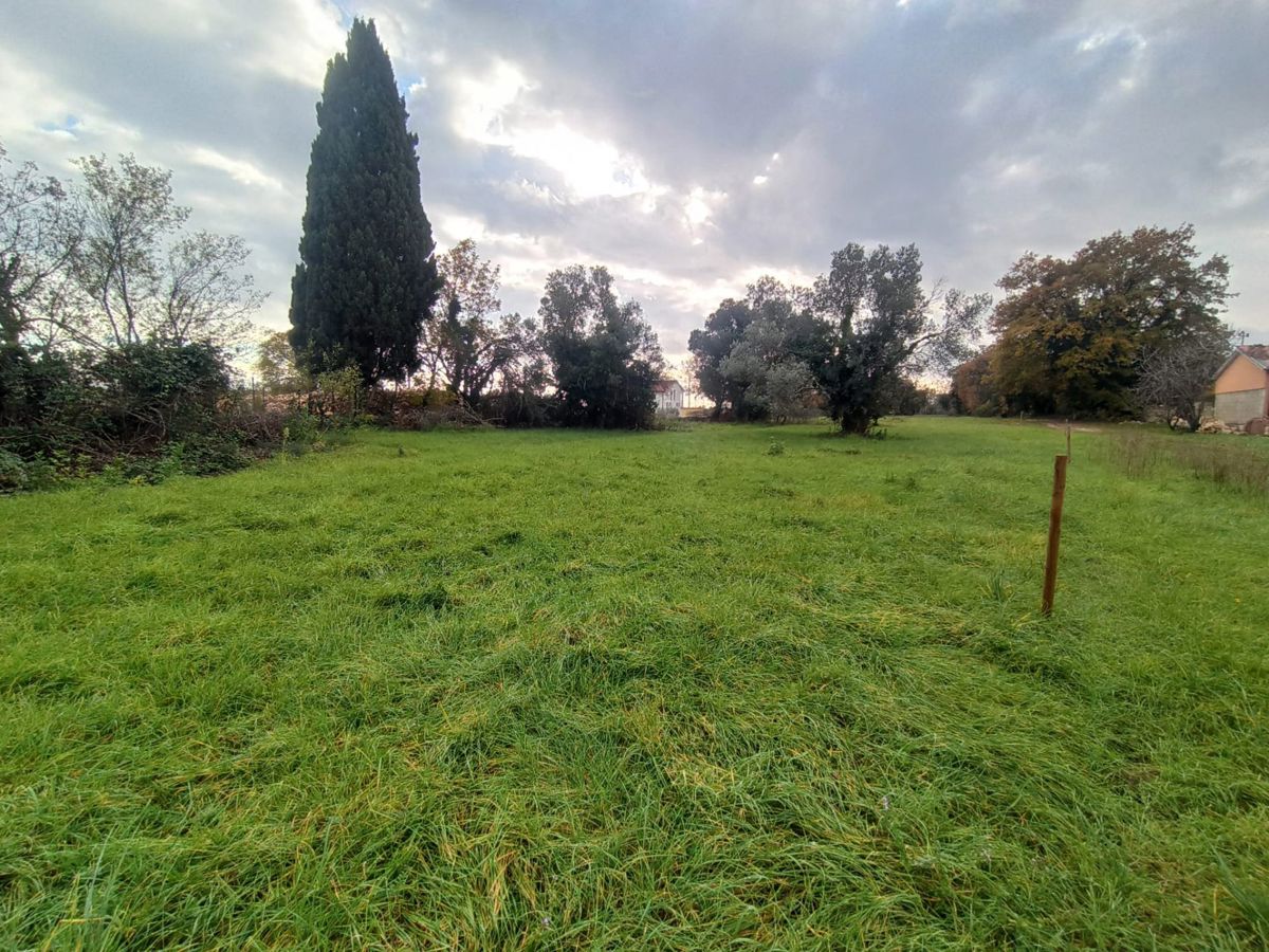 MARČANA