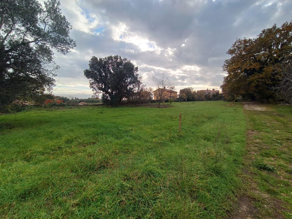 MARČANA