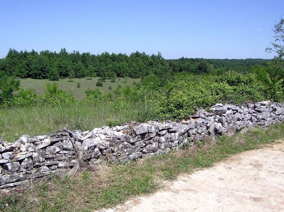 ŽMINJ