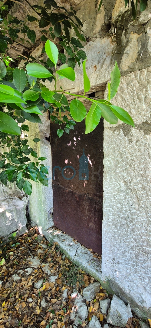 ČIŽIĆI