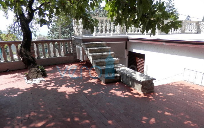SMOKVICA KRMPOTSKA