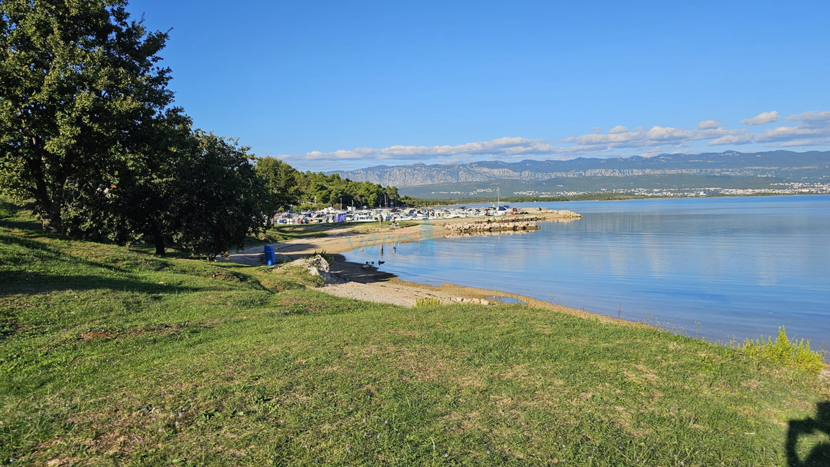 ČIŽIĆI