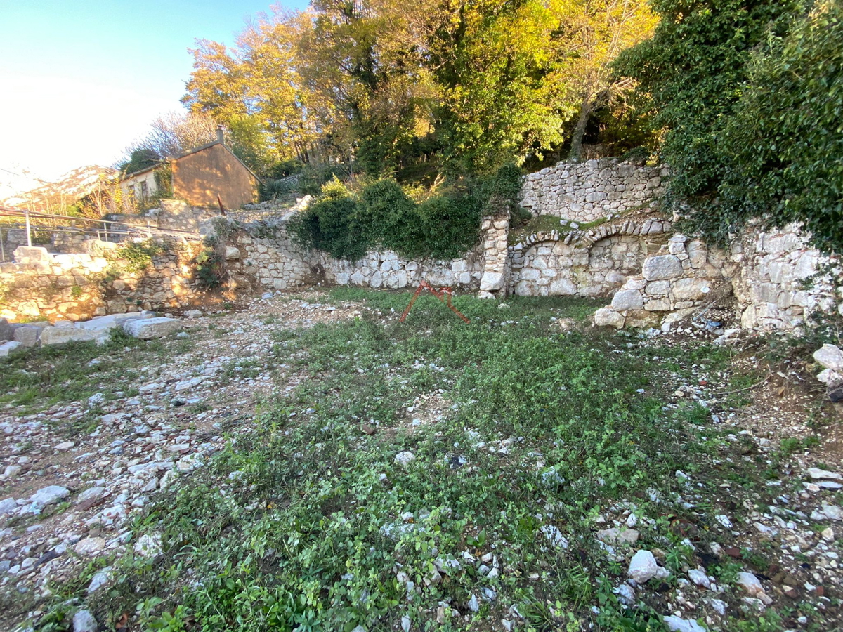 GRIŽANE