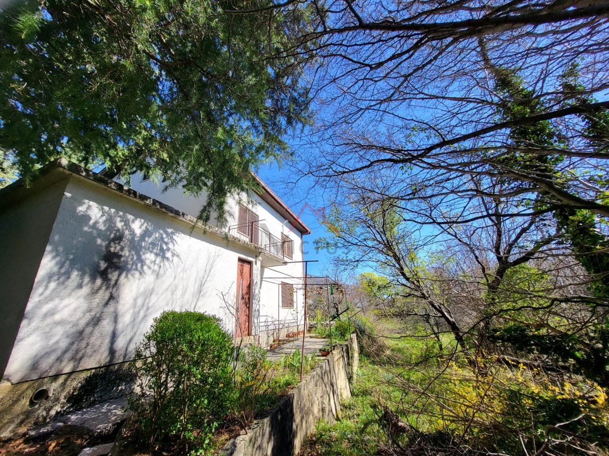 GRIŽANE