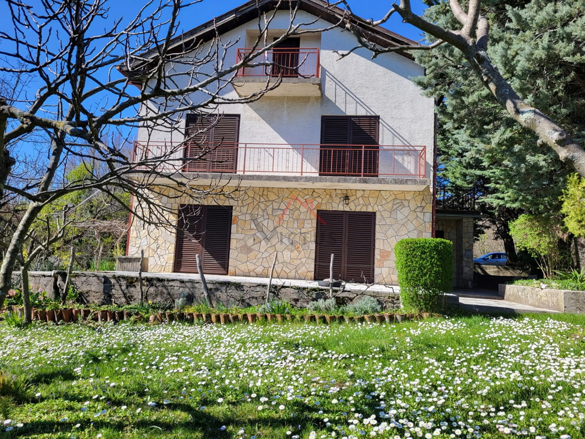GRIŽANE