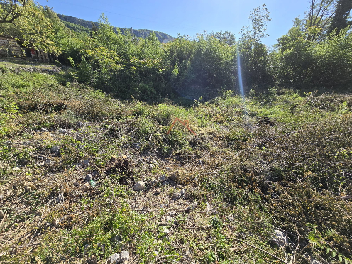GRIŽANE