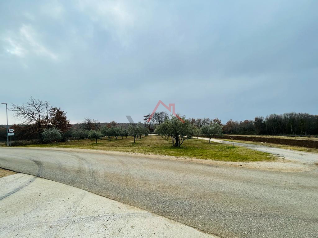 BRTONIGLA