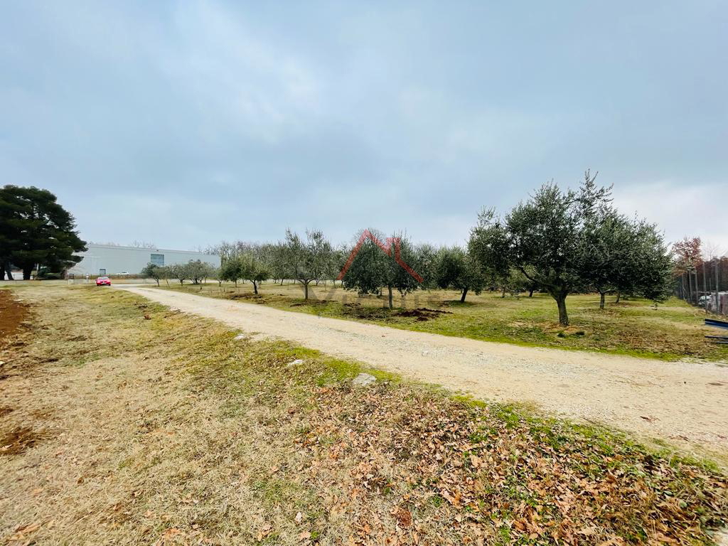 BRTONIGLA