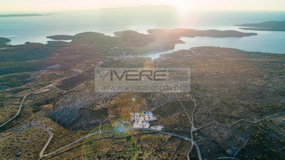 BRAČ