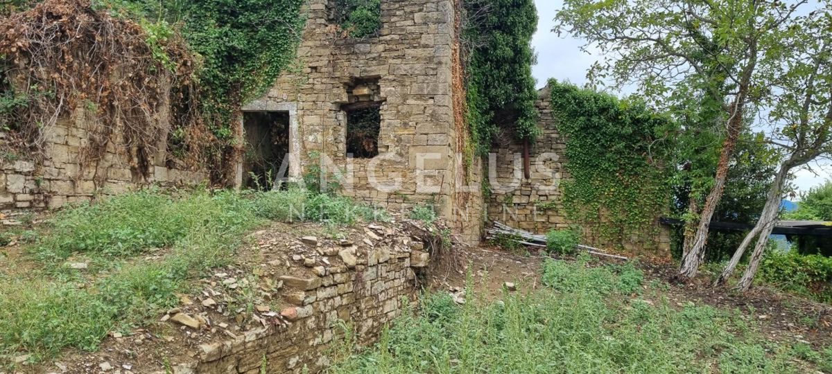 MOTOVUN