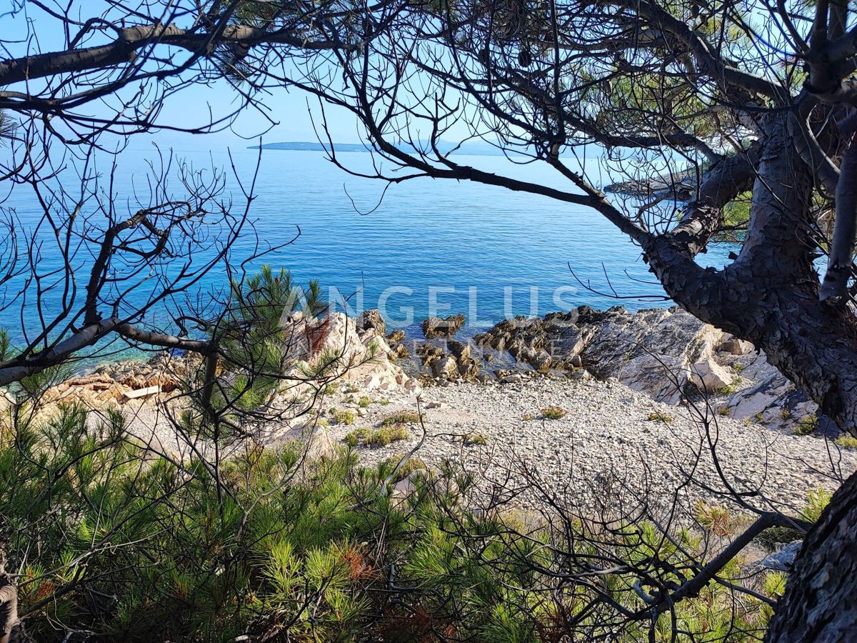 NEČUJAM