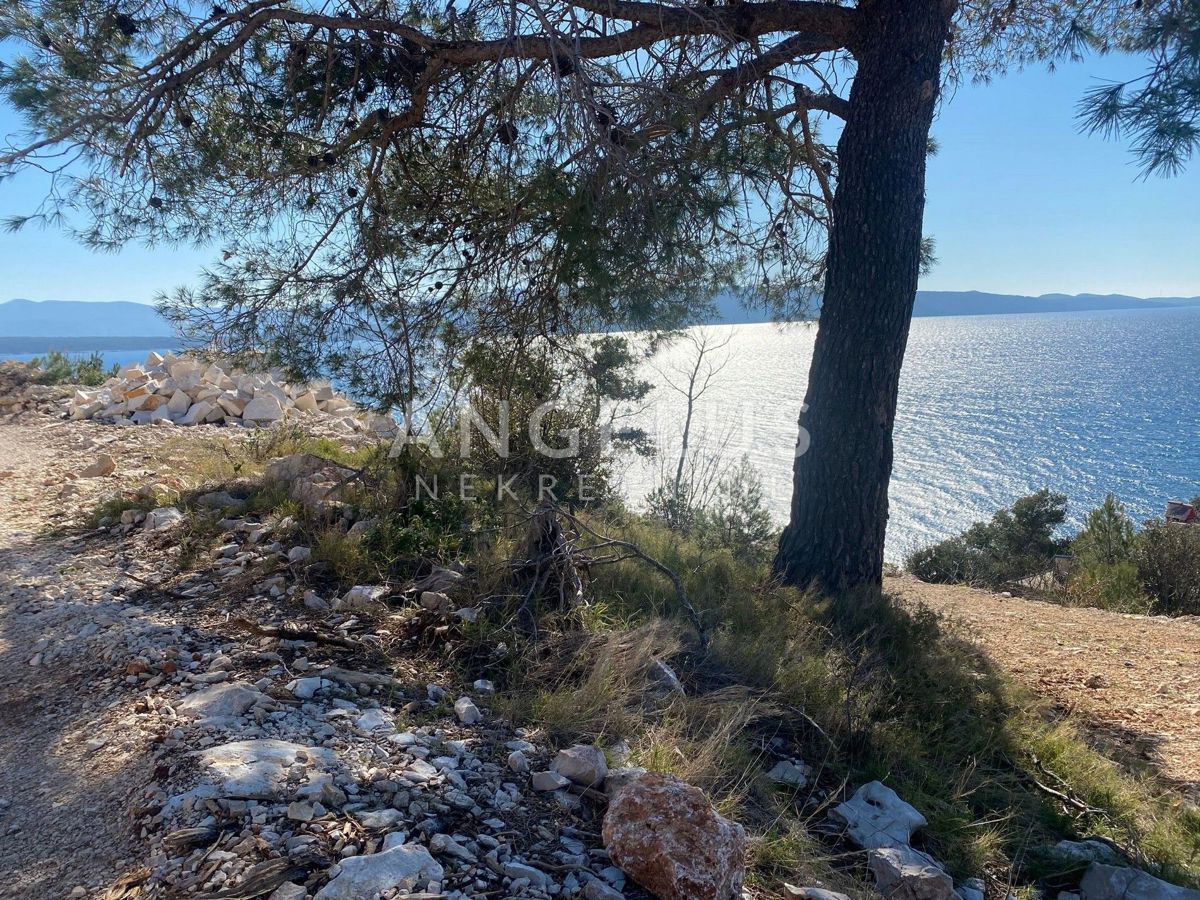 NEREŽIŠĆA