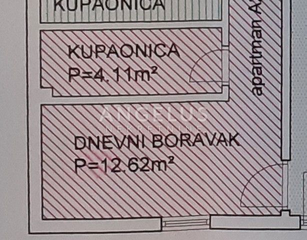 MASLINICA