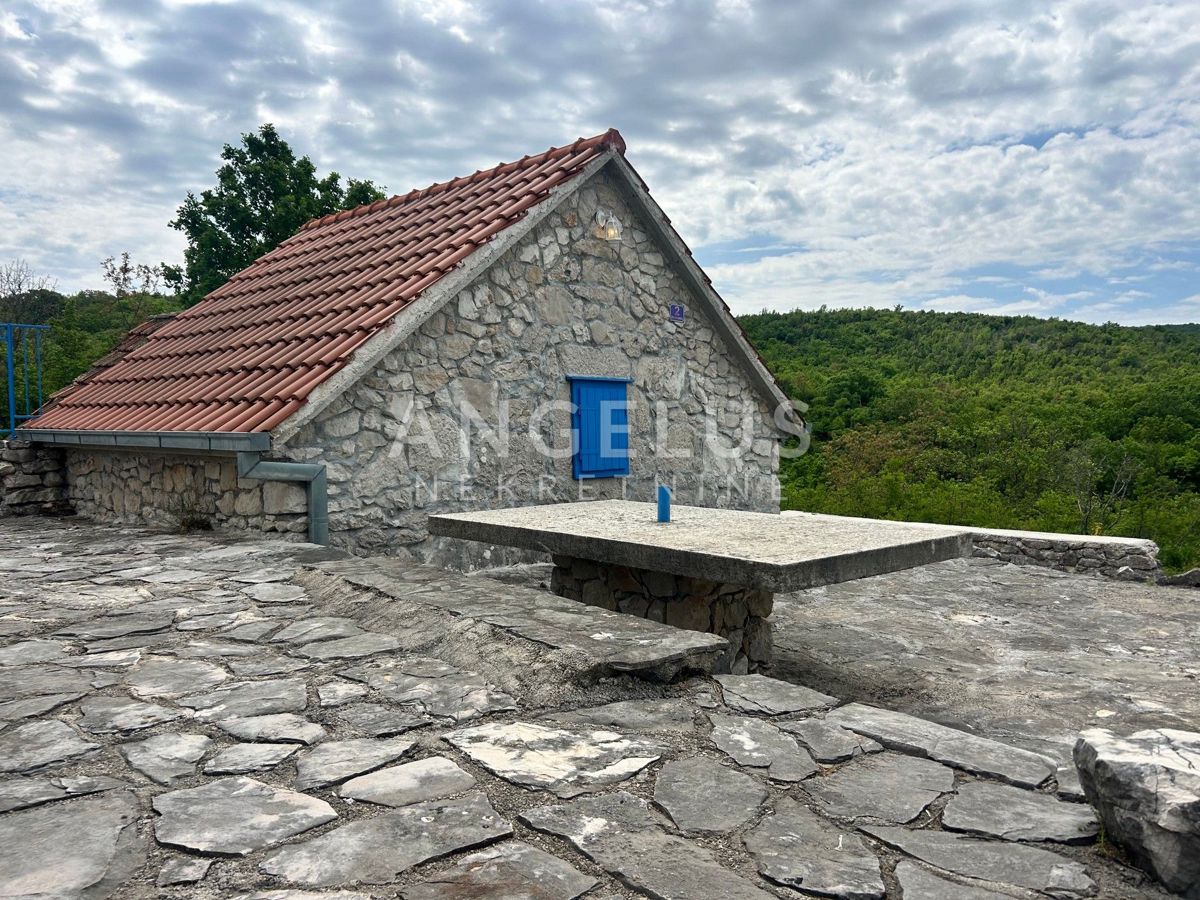 image 17