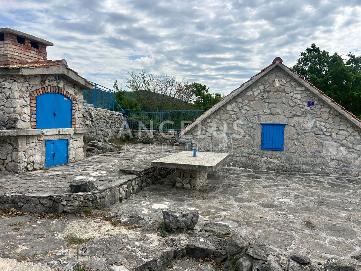 image 13