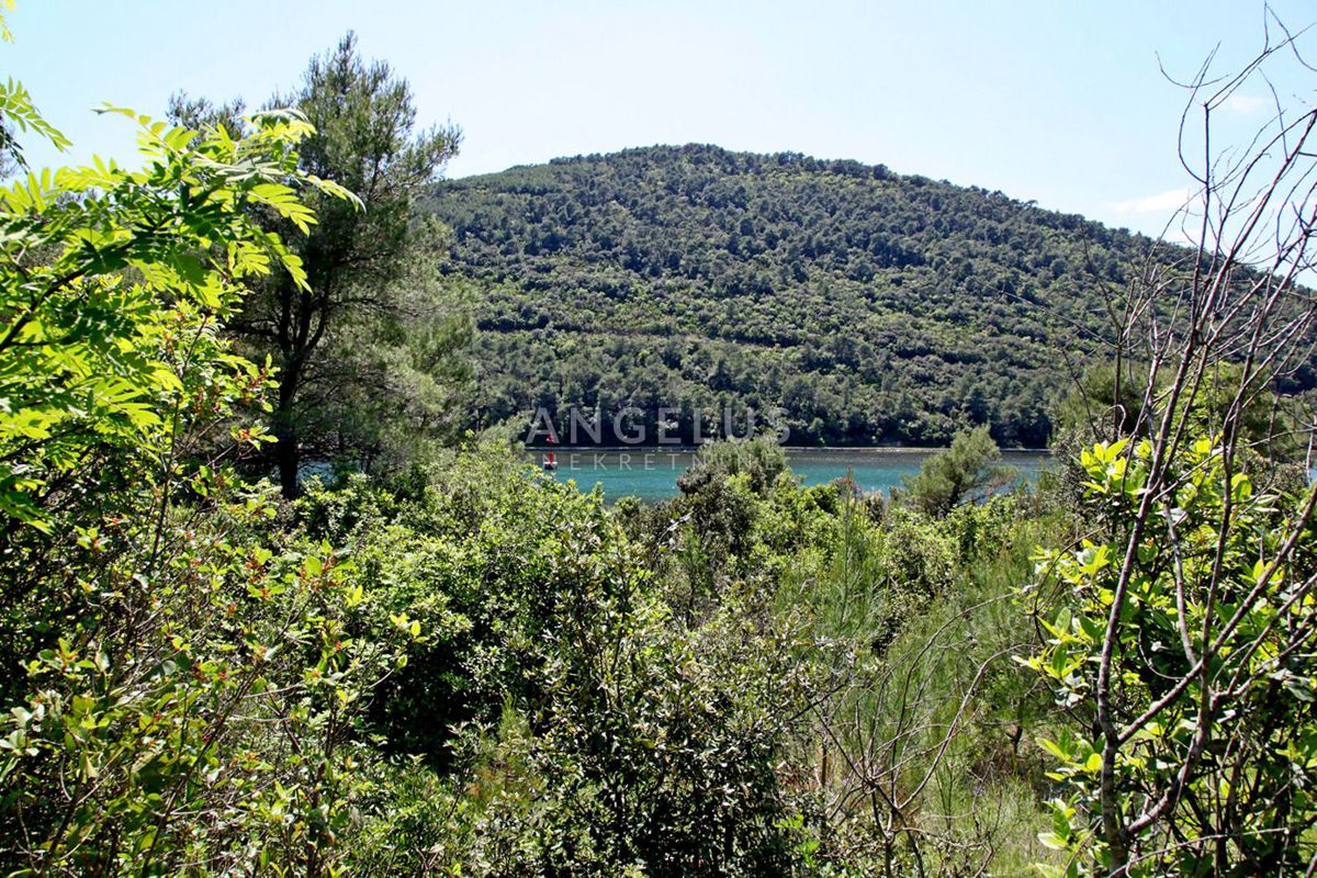 STON